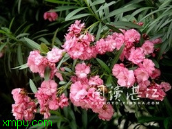 caae68091a79a3872eddd4dc