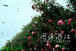 020e66f02479a0eb7931aadd