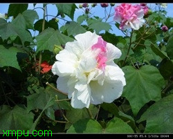 e1bf87250c7e897834a80fcd