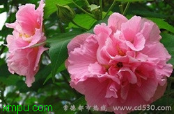 5202e5f23d965300b07ec5b8