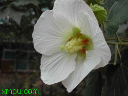 58af236d1eac67e3431694d5