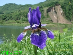 fc5e5f34737f8c63251f1480