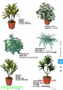 观叶植物:

花卉观叶植物图片资料