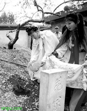 花冢 :

花卉花冢 图片资料