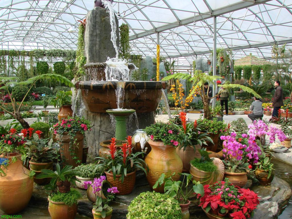 丰乐生态园:

花卉丰乐生态园图片资料