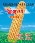 富友99:








花卉富友99图片资料