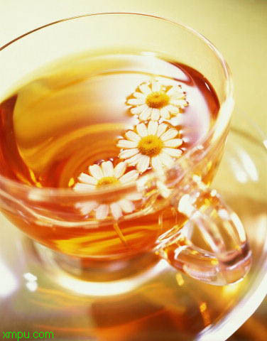 四大名菊:菊花茶的功效与作用