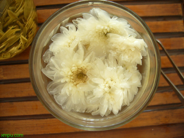 四大名菊:四大名菊功效